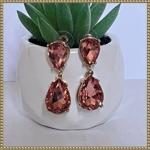Blush Pink Gold Tone Dangle Drop Earrings New In Box